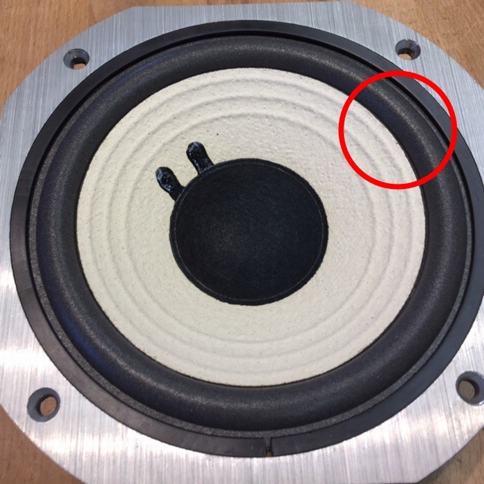 Speaker Repair: Speaker Repair Shop
