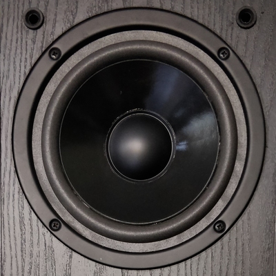 Foamrand voor Magnat W160CP870 woofer