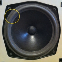 Foam surround (8 inch) for Mission 707 woofer