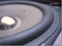 Foam ring (5 inch) for Philips 22 AV1993/01 mid-toner