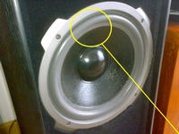 Foam ring (10 inch) for Quadral Quintas 160 woofer