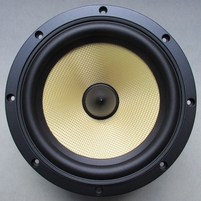 Rubber surround for B&W 805S woofer