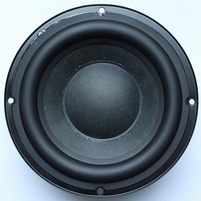 Peachtree Audio Deepblue3 woofer