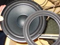 Foam surround (6 inch) for Jamo W21357 woofer