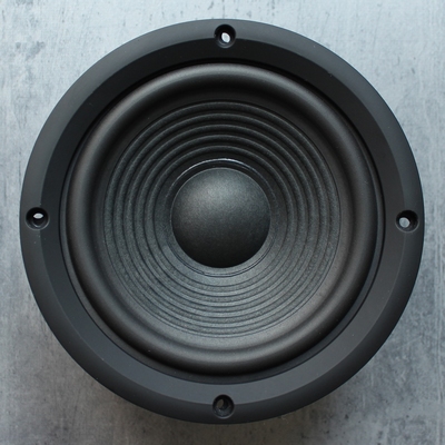 JBL Arena 125C woofer