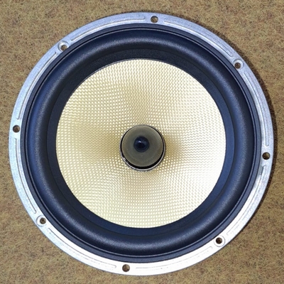 Rubber rand voor B&W CDM1NT & CDMSNT (ZZ12025) woofer