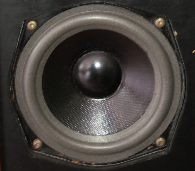 Foam surround for Tonsil GDN 13/50/3 8 Ohm woofer