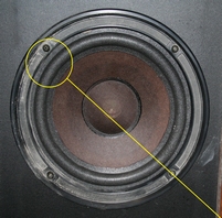 Foam surround for BOSE 601 woofer