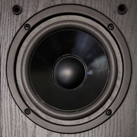 Foam ring for Magnat W165P870 woofer