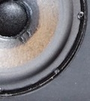 Foam ring (8 inch) for Gale 401 woofer