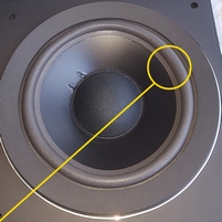 Foam surround for Bang & Olufsen Beovox MC120.2 woofer