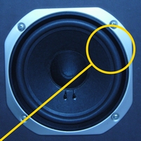 Foam ring (6 inch) for BNS E312woofer