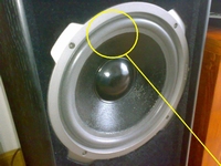 Foam surround (10 inch) for Quadral Quintas 160 woofer