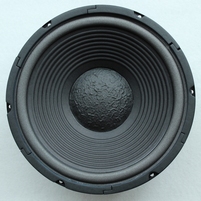 E.S.L. 12 inch woofer