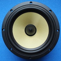 B&W HTM4S woofer