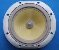 B&W DM602 S3 Tieftöner, Grau