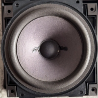 Foam surround for Blaupunkt MD 1350 woofer