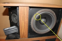 Foam surround for BOSE 301 woofer