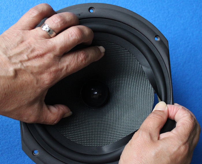 Der Wharfedale Diamond 9.6 Sicke ertausch