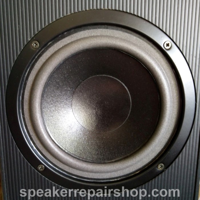 HECO Spirit 100 woofer after a refoam (new foam surround mounted)