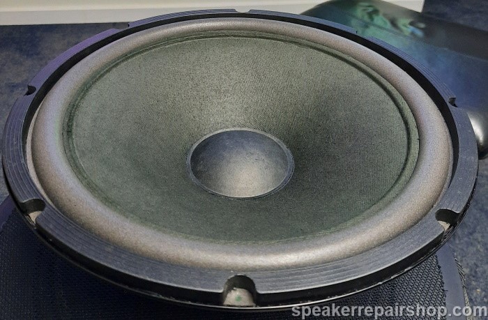 REL Q100E woofer with a new foam surround