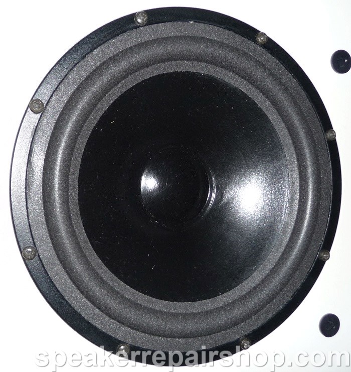 Yamaha Stagepas 300 woofer with a new foam surround fitted (refoam)