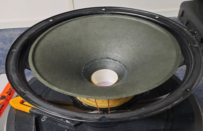REL Q100E woofer - clean and with dust cap removed