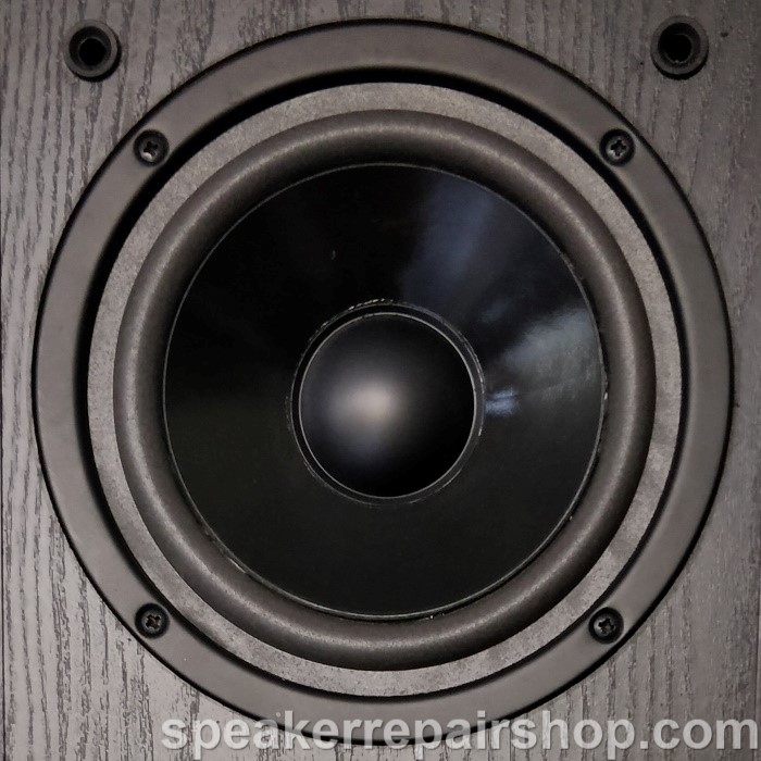 Magnat W160CP870 woofer voorzien van nieuwe foamrand (na refoam)