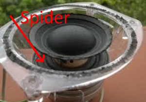 Foam spider JBL Atlas woofer